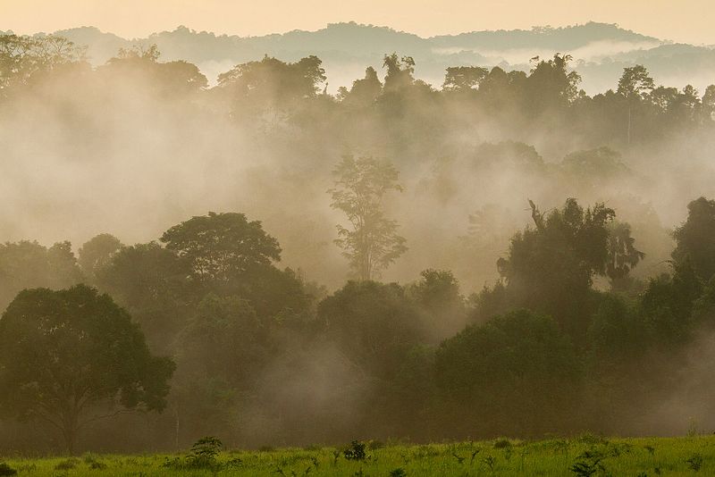 File:Khao Yai National Park 4.jpg