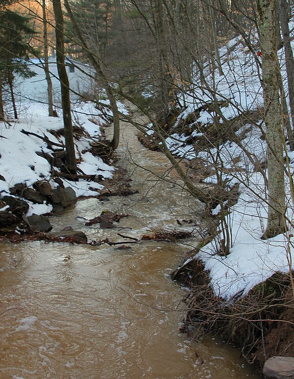 Meltwater in early spring in a stream in Pennsylvania, USA