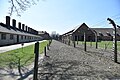 Koncentračný tábor Auschwitz-Birkenau 2017 (33589932030).jpg
