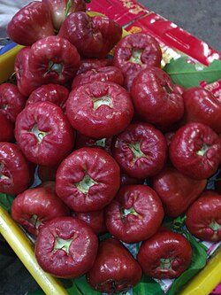 Lainwu (Wax apple) WP 001223.jpg