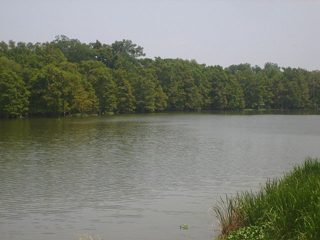 Lake St. Joseph, an ox-bow lake of the Mississippi River at Newellton