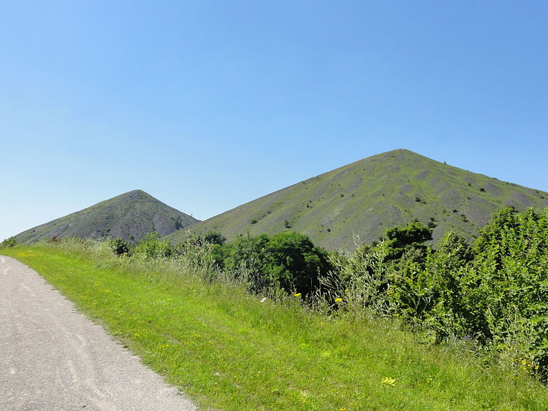 File:Loos-en-Gohelle - Terrils n° 74, 74A et 74B, 11 - 19 de Lens Est, Ouest et Nouveau (098).JPG