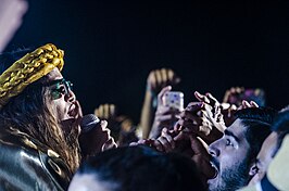 MIA 3 FIB 2014.jpg