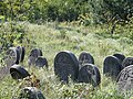 Gravestones in a Jewish cemetery in Radomsko