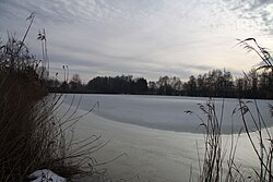 Malý Ústavní rybník v zimě