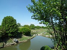 Fotografia que mostra uma paisagem plana, verde e arborizada com um pequeno canal em primeiro plano