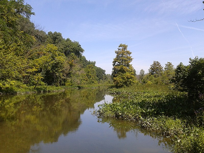 File:Marsh area, Theodore Roosevelt Island.jpg