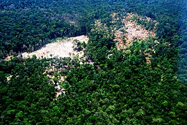 Masacre ambiental En Zancudo, Guania - panoramio.jpg