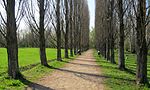 Riserva naturale del Meisino e dell'Isolone Bertolla