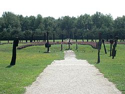 Mohacs Monument at the Battlefield 2004