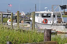 Commercial boat docks at Money Island Money Island NJ commercial fishing and crabbing docks.jpg