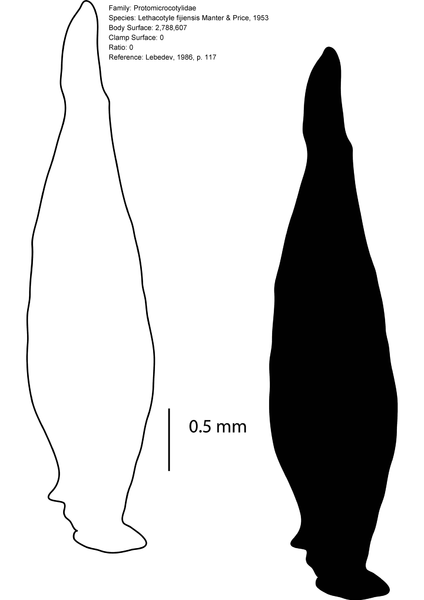 File:Monogenea 120 Page 098 Lethacotyle fijiensis Manter & Price, 1953 Protomicrocotylidae.png