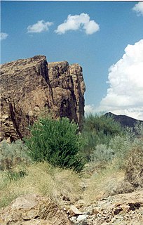 <span class="mw-page-title-main">Muggins Mountains</span> Landform in Yuma County, Arizona