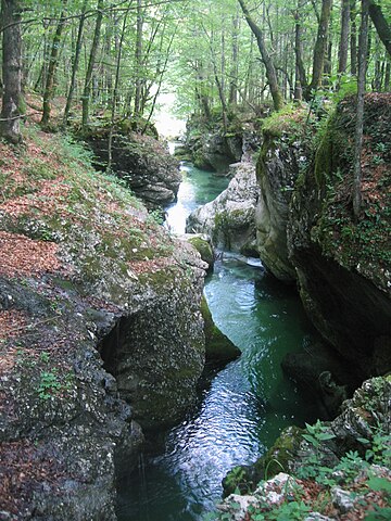 Bohinjski ledenik