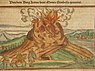 Виверження вулкана Етна, малюнок Себастьяна Мюнстера (1488—1552)