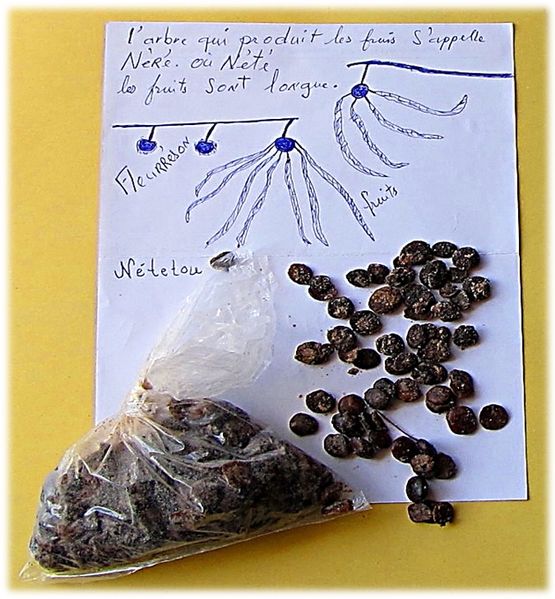 File:Nététou fermented African locust bean.jpg