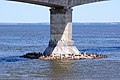 * Nomination Confederation Bridge, Canada: bridge pier --Taxiarchos228 08:15, 20 September 2011 (UTC) * Promotion für mich viel interessanter als das andere Bild. --Ralf Roletschek 08:28, 20 September 2011 (UTC)