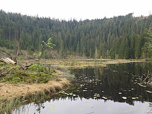 Huzenbacher See