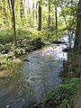 Čeština: Přírodní památka Křečovický potok nedaleko Křečovic, okres Benešov - ČR English: Natural monument Křečovický potok near Křečovice in Benešov District, Czech Republic