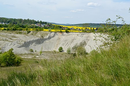 Naturschutzgebiet Steinbruch Baddeckenstedt (13)