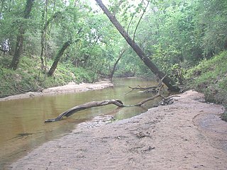 <span class="mw-page-title-main">Navidad River</span> River in the Texas Gulf Coastal Plain