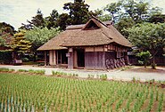 Japan, rice straw thatch.