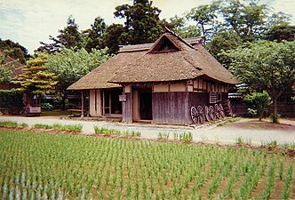 Toenn e plouz-riz, e Japan