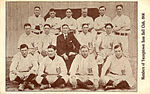 Youngstown Ohio Works (1906), with pitcher Roy Castleton seated in second row, second from left