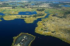 Okavango delta - Botswana - panoramio (3).jpg