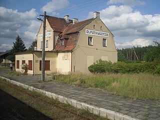 <span class="mw-page-title-main">Olpuch Wdzydze railway station</span>