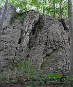 Skała Organy z wylotem schroniska