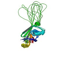 Mutace genu ATP7B jsou přítomny u většiny pacientů s Wilsonovou chorobou