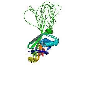 De structuur van het ATP7B-eiwit, in het gen waarvan bij patiënten mutaties worden gevonden
