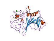 PDB 3fib EBI.jpg