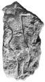 PSM V83 D018 Male figure in bas relief.png