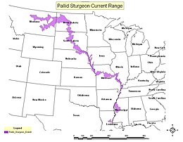 Pallid Sturgeon range map.JPG