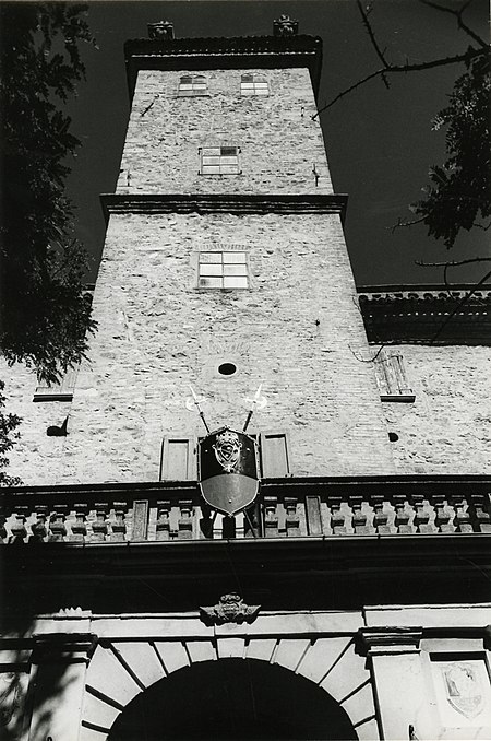 Paolo Monti - Servizio fotografico (Ziano Piacentino, 1981) - BEIC 6339178.jpg
