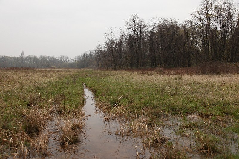 File:Parco Groane 11-2010 - panoramio (9).jpg