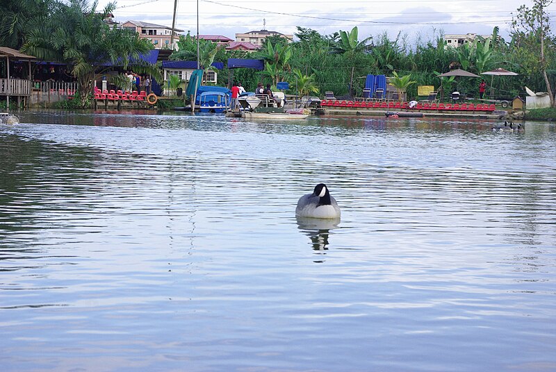 File:Parcours vitae Douala - Vue partielle d'un canoe.jpg