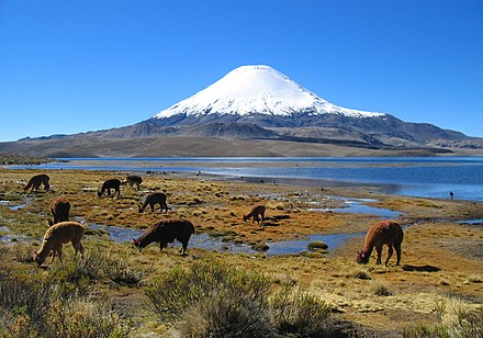 View of the Altiplano plateau in northern Chile
