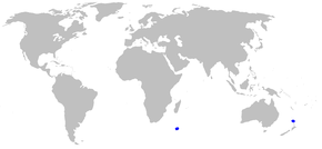 Parmaturus_macmillani_distmap.png görüntüsünün açıklaması.