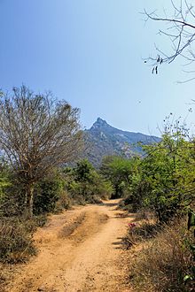 Parvathamalai as seen from the foothills Parvathamalai 1.jpg