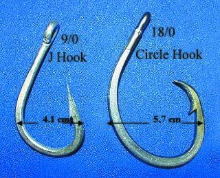 Circle hook Fish hook which is sharply curved back in a circular shape