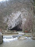 Vignette pour Grotte de Petnica