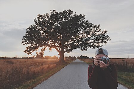 ไฟล์:Photographing the countryside (Unsplash).jpg