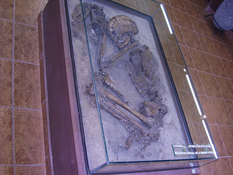 File:PikiWiki Israel 32242 The Prehistoric man museum in Kibbutz Maayan Baru.jpg