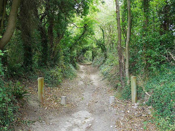 The Pilgrims' Way as it passes the White Horse Stone, Kent