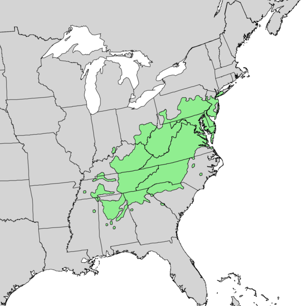 File:Pinus virginiana distribution map.png