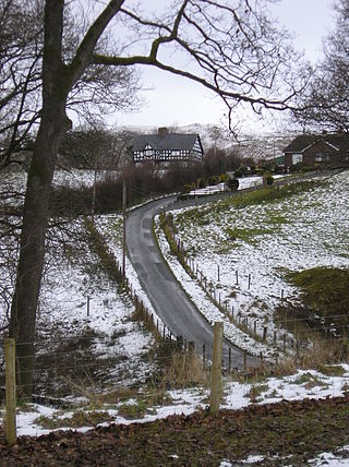 <span class="mw-page-title-main">Plasau Duon</span> Historic site in Montgomeryshire, Wales
