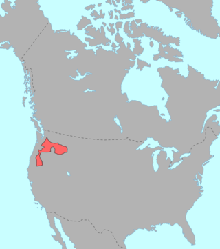 <span class="mw-page-title-main">Nez Perce language</span> Sahaptian language traditionally spoken in the Northwestern USA